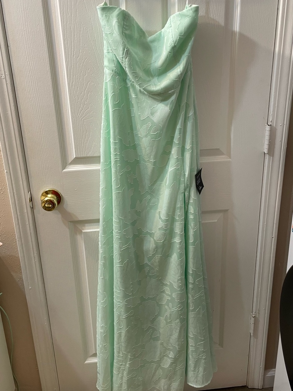 NWT Lulus Garden of Romance Mint Green Floral Burnout Strapless Maxi Dress